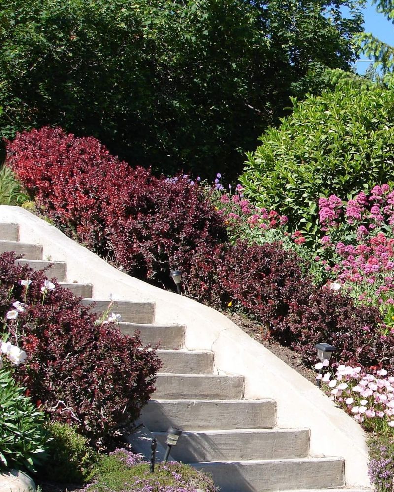 Xeriscaping Company in Southern Oregon