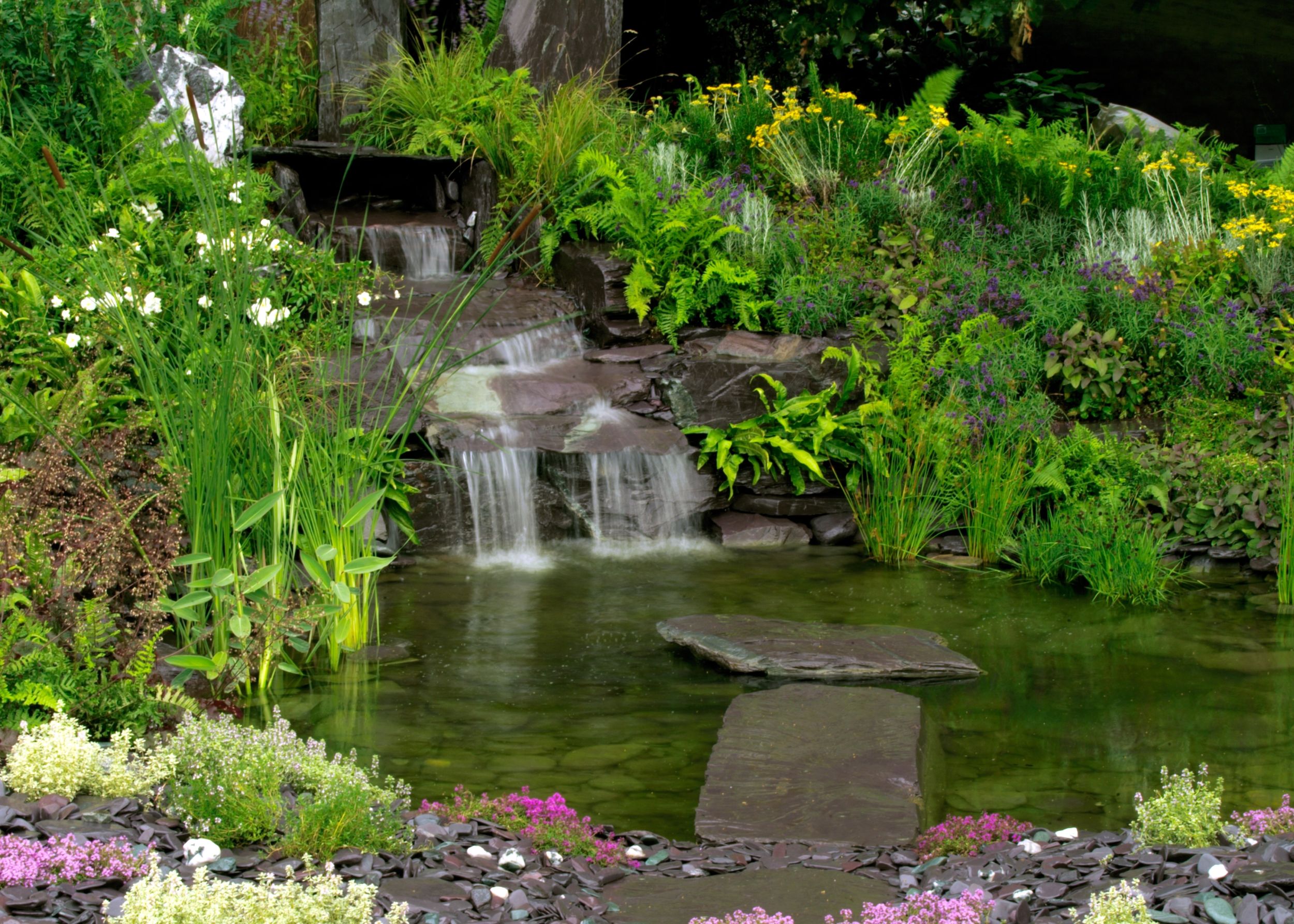 Ecosystem Pond Design and Installation