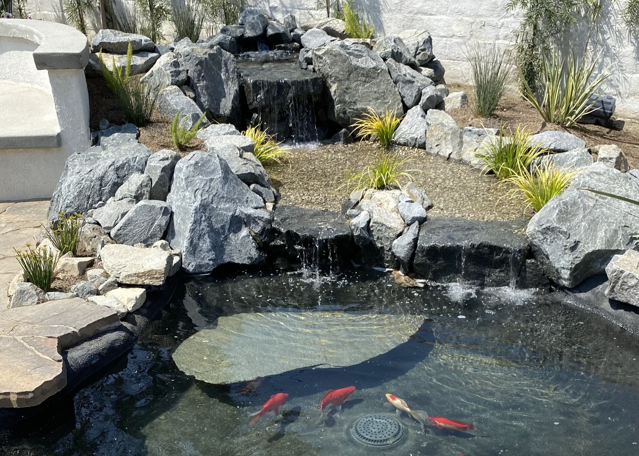 Ecosystem Pond Installation