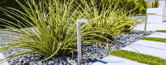 How Much Does Xeriscaping Cost in Southern Oregon