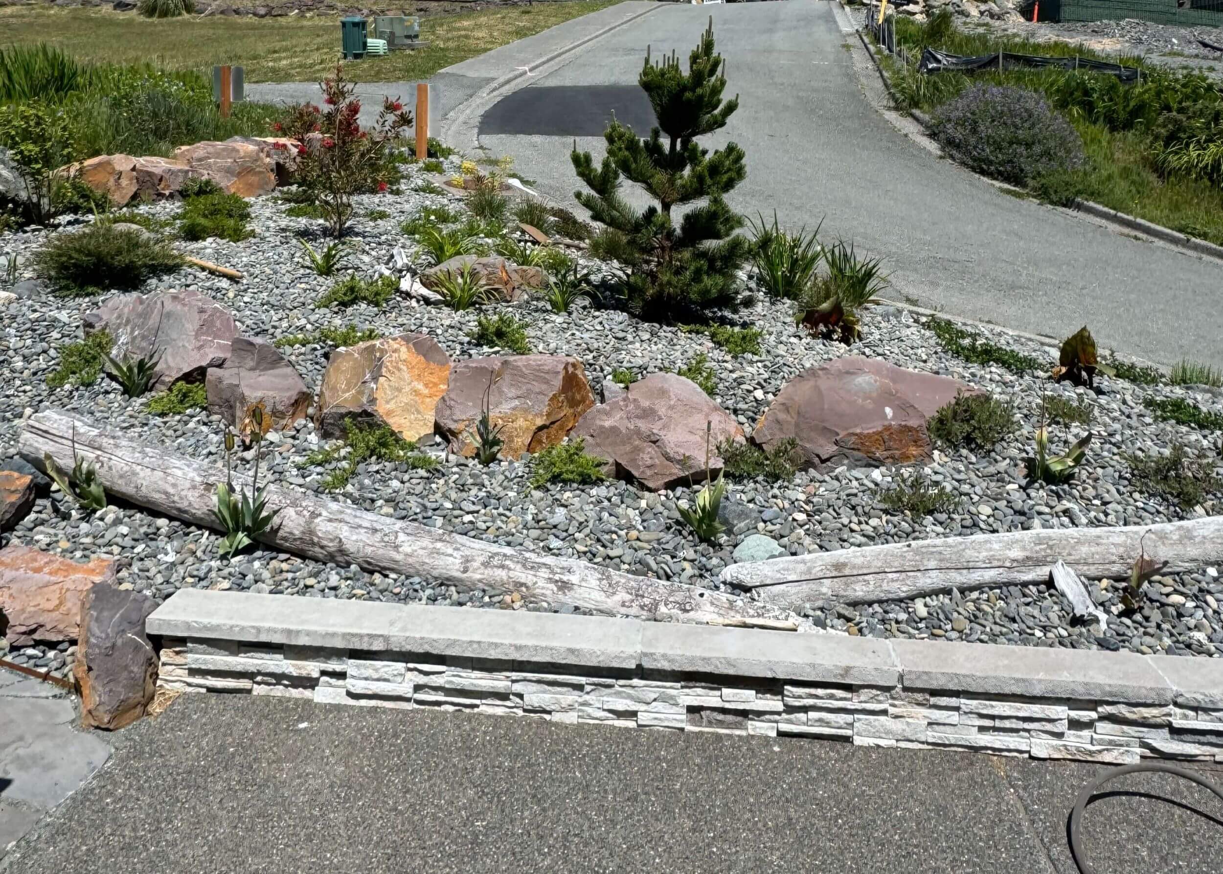 How Xeriscaping Saves Time & Money in Southern Oregon