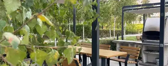 Pergola-covered patio with dining area and greenery in backyard