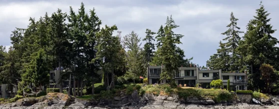 Best Plants for Coastal Landscaping in Brookings