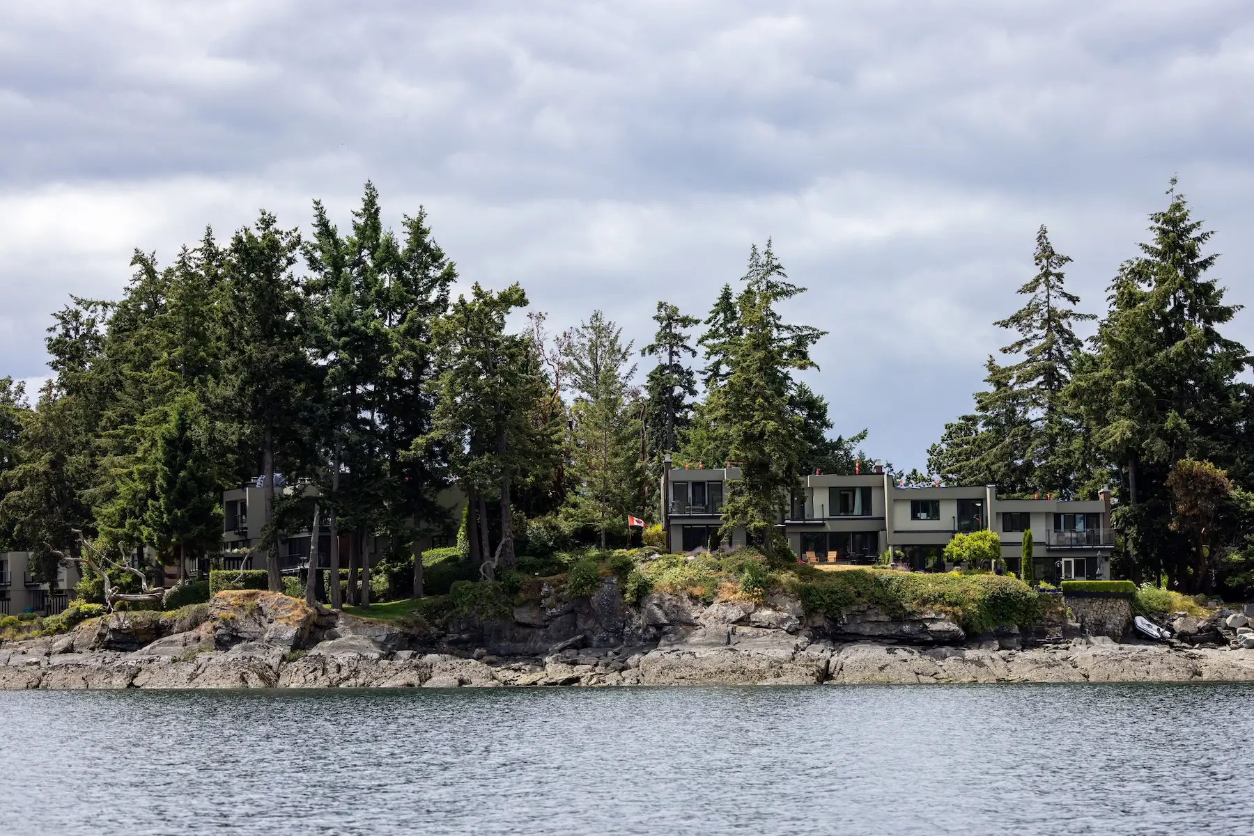 Plants That Thrive in Coastal Brookings Landscapes