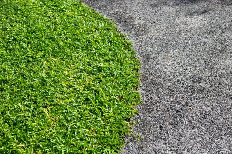 Clean lawn edge meeting an exposed aggregate concrete walkway in a landscape design